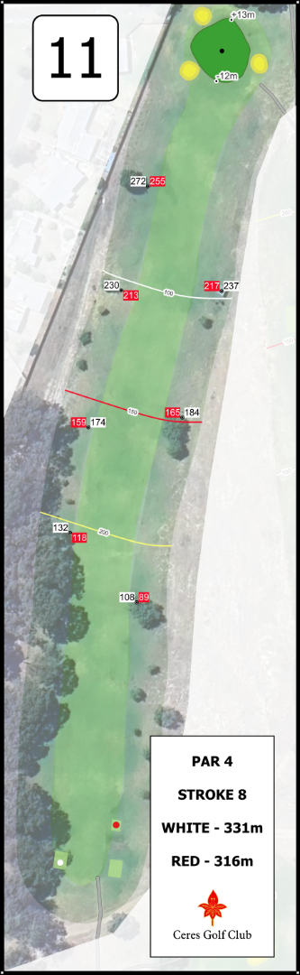 Course Layout - Hole 11