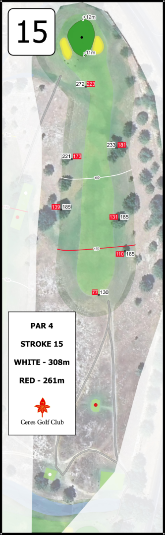 Course Layout - Hole 15